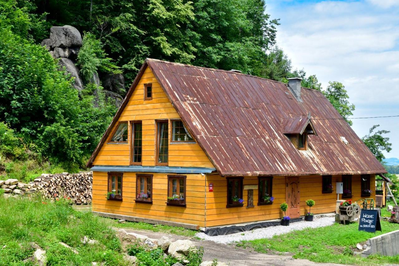 Villa Wilcza Gajowka Sosnówka Exterior foto